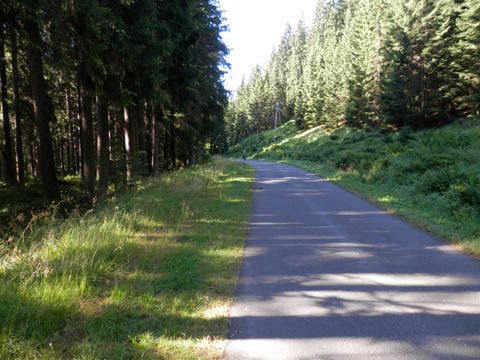 Foto 84